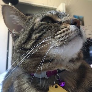 Meet your Posher, Zoe